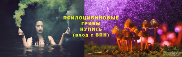 спиды Горняк