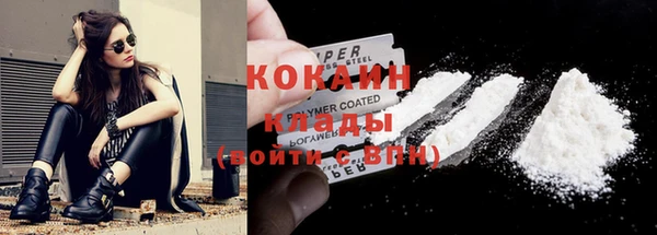 спиды Горняк