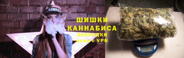 спиды Горняк