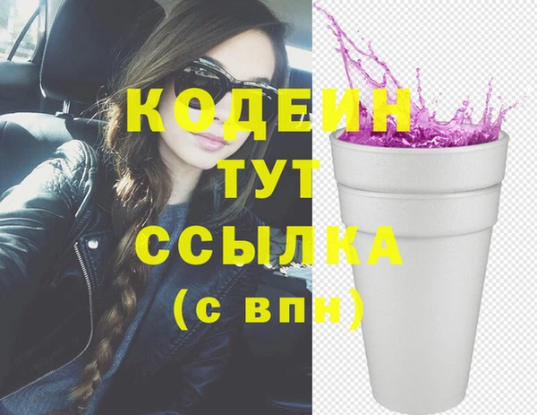 спиды Горняк