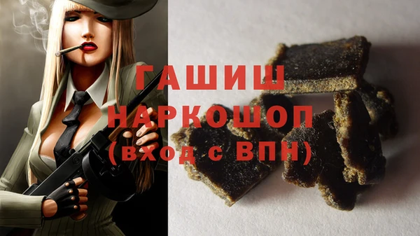 спиды Горняк
