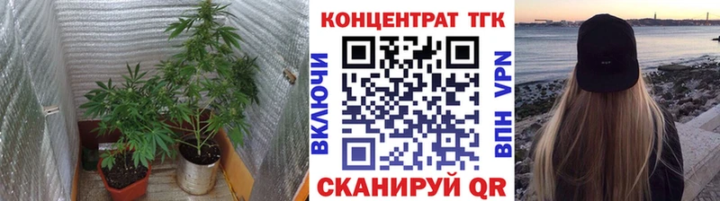 цена наркотик  Лермонтов  shop как зайти  ТГК гашишное масло 